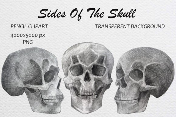 Download Skull Hand Drawn Pencil Drawing Clip Art - Pencil Collection