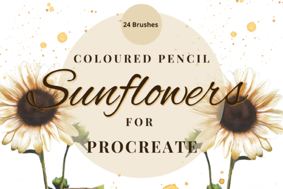 Download Procreate Coloured Pencil Sunflowers - Pencil Collection