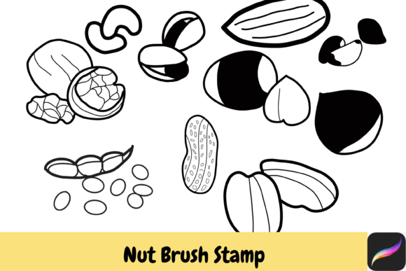 Download Nut Grain Procreate Brush Stamps IPAD - Procreate brush stamp Collection